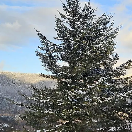 דירה Klak Fackov