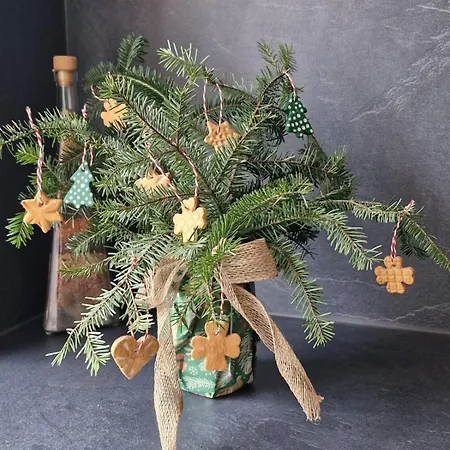 Διαμέρισμα Klak Fackov